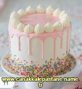 anakkale Ezine Cumhuriyet Mahallesi ya pasta gnder